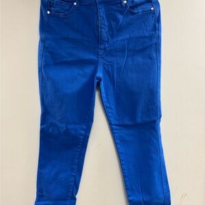 Judy Blue Electric Blue Skinny Jeans